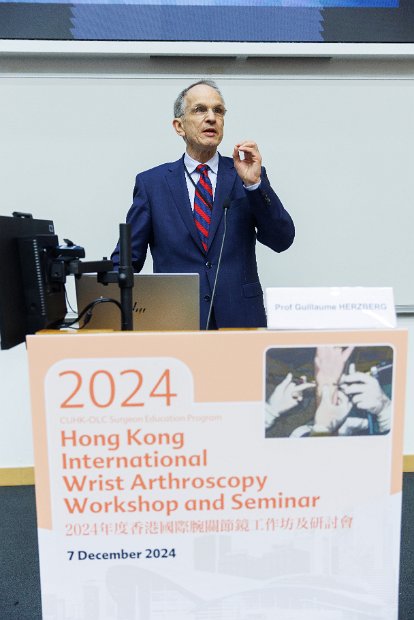 HK Wrist Course 2024- Seminar  - 166 of 257